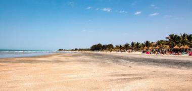 Groene bijeneters in Gambia