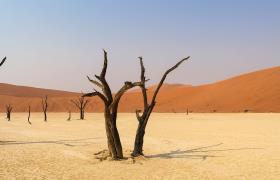 Woestijn in Namibië