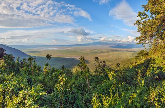 Ngorongoro krater in Tanzania