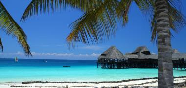 Zanzibar strand palbomen