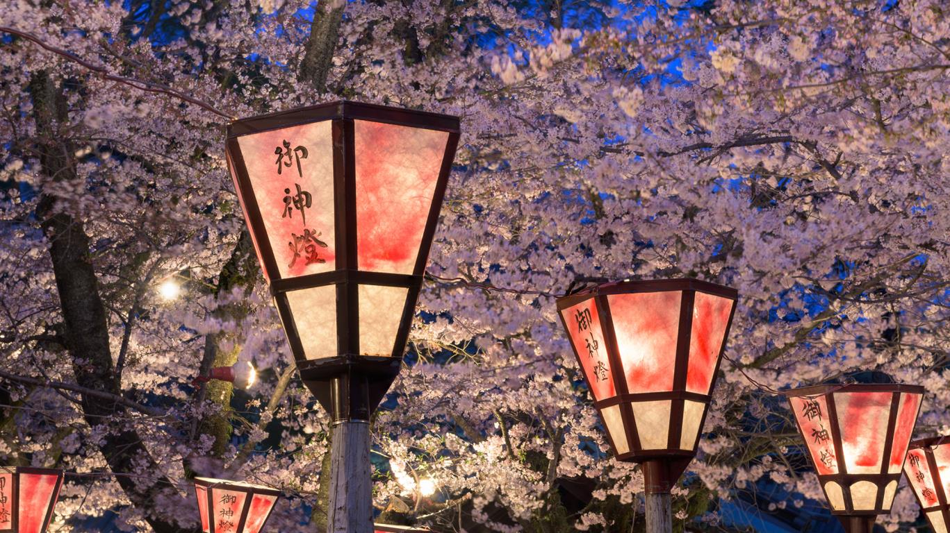 In het voorjaar viert Japan Sakura, het bloesemfeest