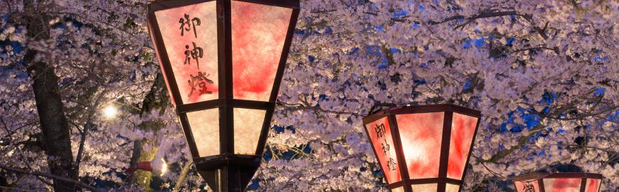 In het voorjaar viert Japan Sakura, het bloesemfeest