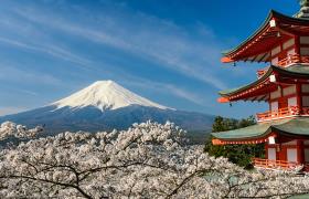 Bloesem met op de achtergrond Mount Fujji in Japan