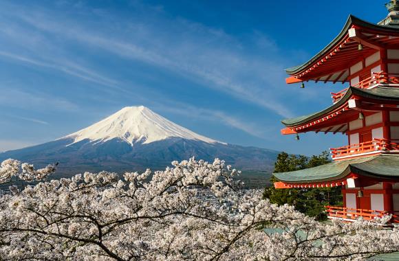 Bloesem met op de achtergrond Mount Fujji in Japan