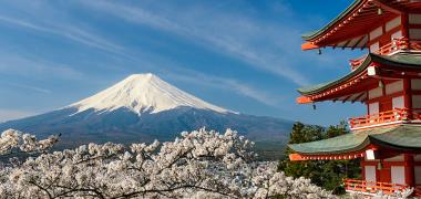 Bloesem met op de achtergrond Mount Fujji in Japan