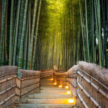 Kyoto Arashiyama bamboe-bos