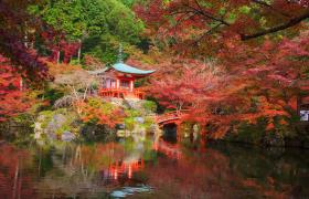 De Daigoji-tempel in Kyoto, Japan