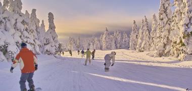 Snowboarden in Japan: fantastische ervaring!