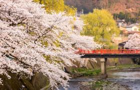Lente in Takayama, één van de mooiste stadjes van Japan