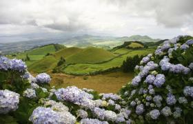 Eiland São Miguel is weelderig groen en vol bloeiende planten