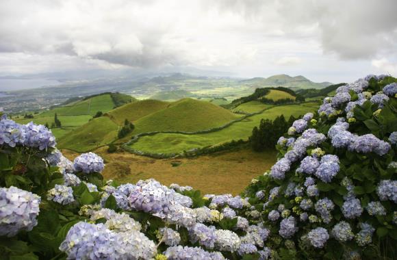 Sao Miguel, Azoren, Portugal
