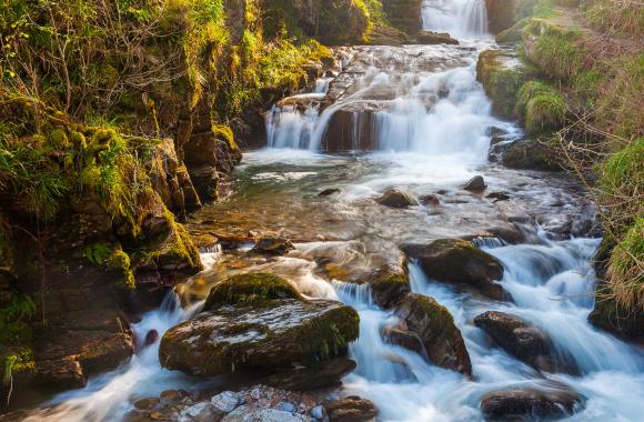 Somerset and the Cotswolds