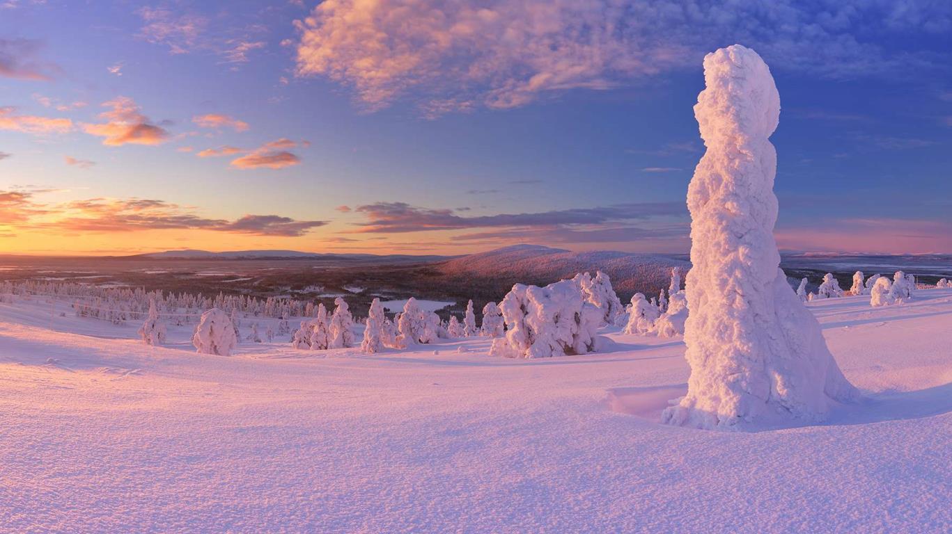 Fins Lapland landschap 