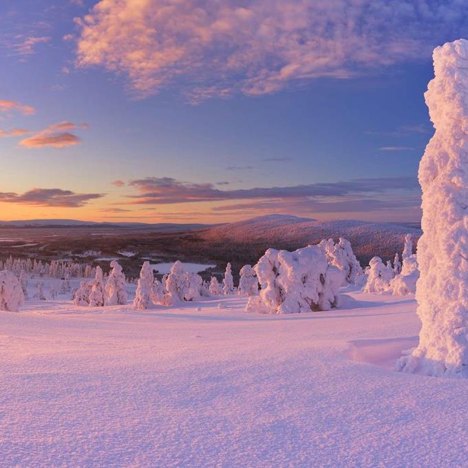 Fins Lapland landschap 