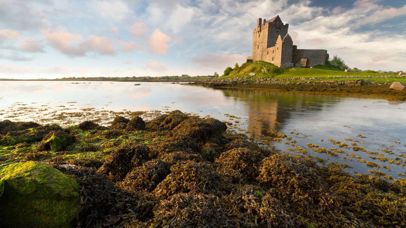 Dunguaire kasteel  in Ierland