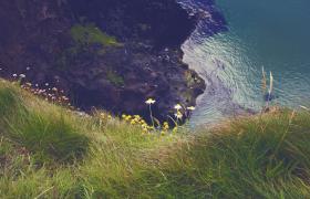 Groen landschap in Ierland