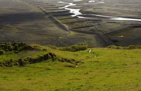 National Park Skaftafell op IJsland