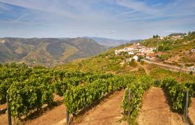 Wijngebied Douro in Portugal