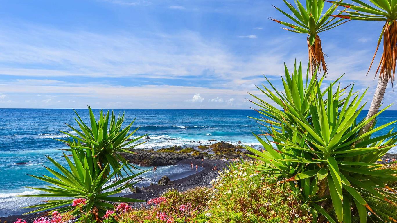 Landschap van Tenerife
