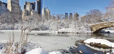 New York in de sneeuw