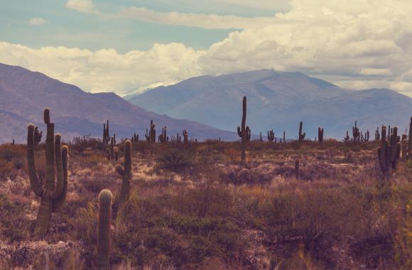 Landschap in het noorden van Argentinië