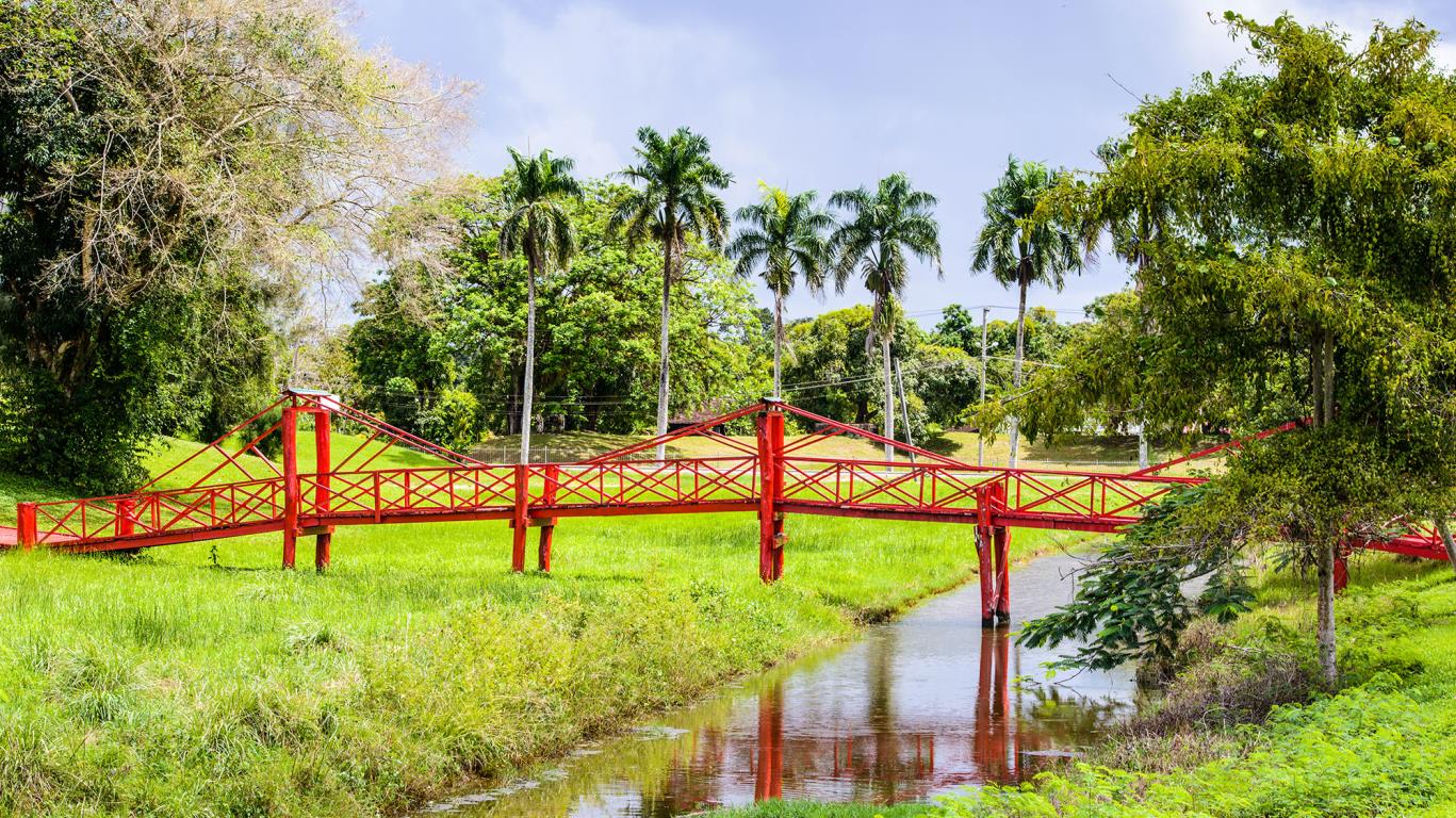 Een brug in Suriname