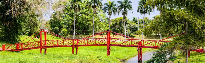 Een brug in Suriname
