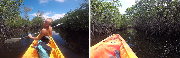 Noosa Everglades