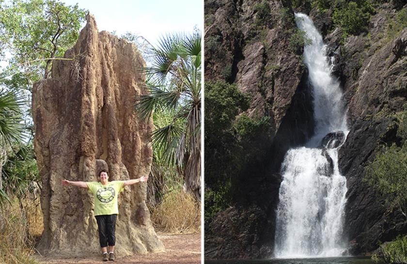 Termietenheuvel Australië