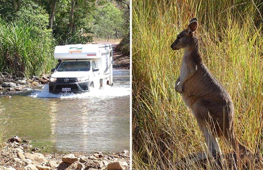 Gibb River Road river crossing kangoeroe