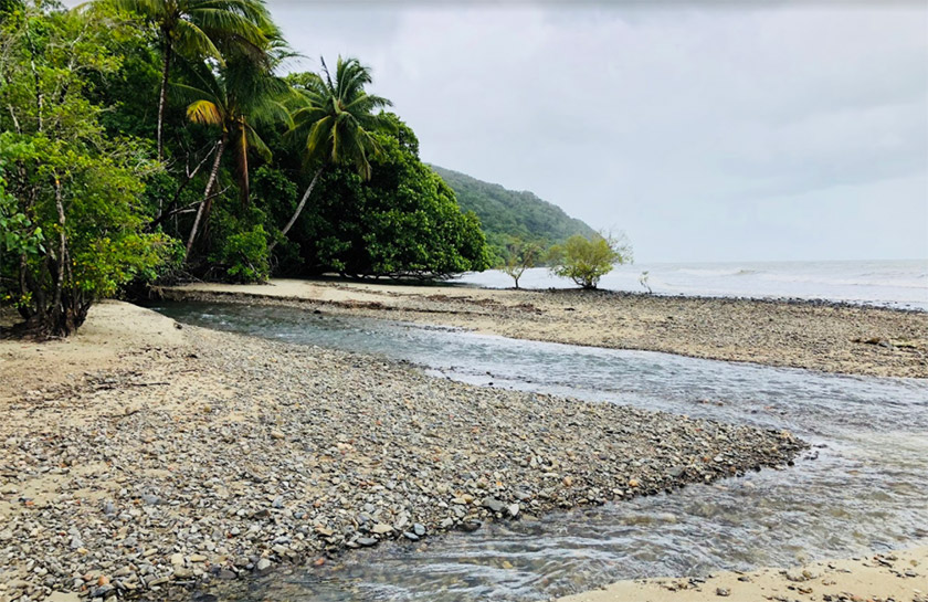 Daintree Cape Tribulation