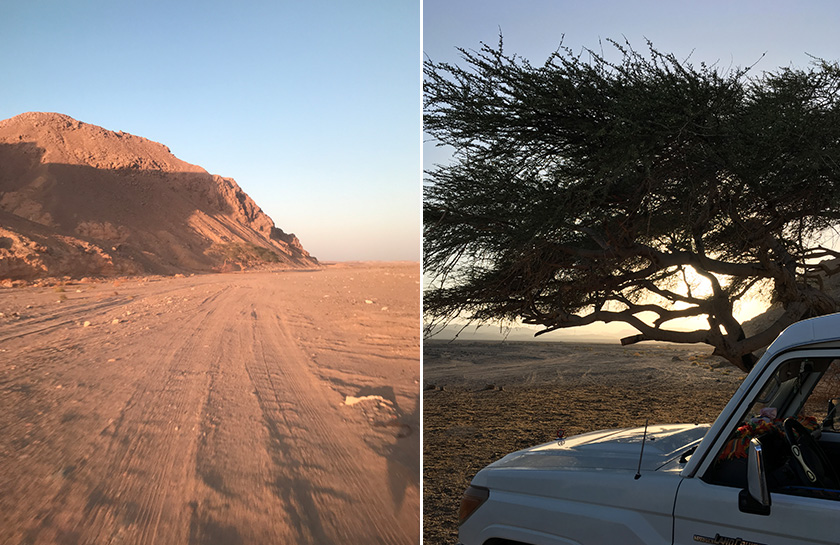 Woestijn jeep Egypte Acacia boom