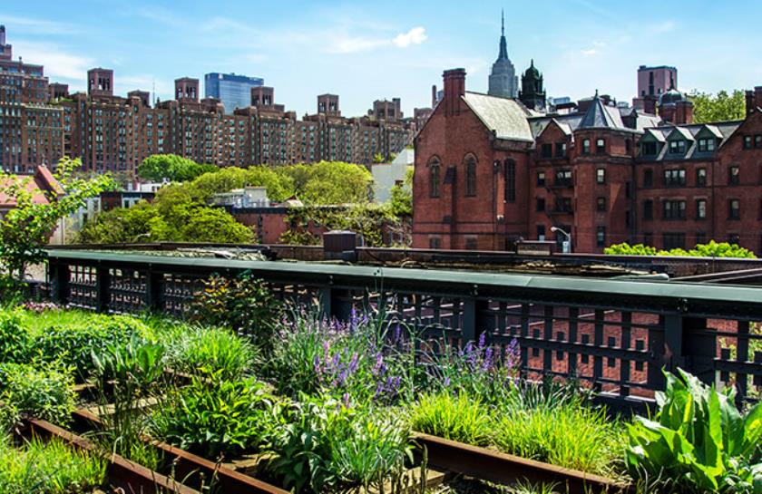 The High Line