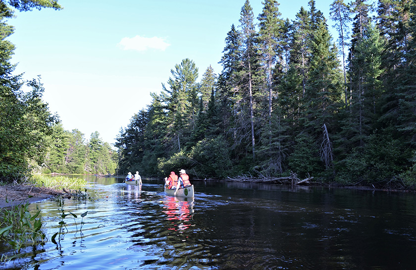 Algonquin Provincial Park
