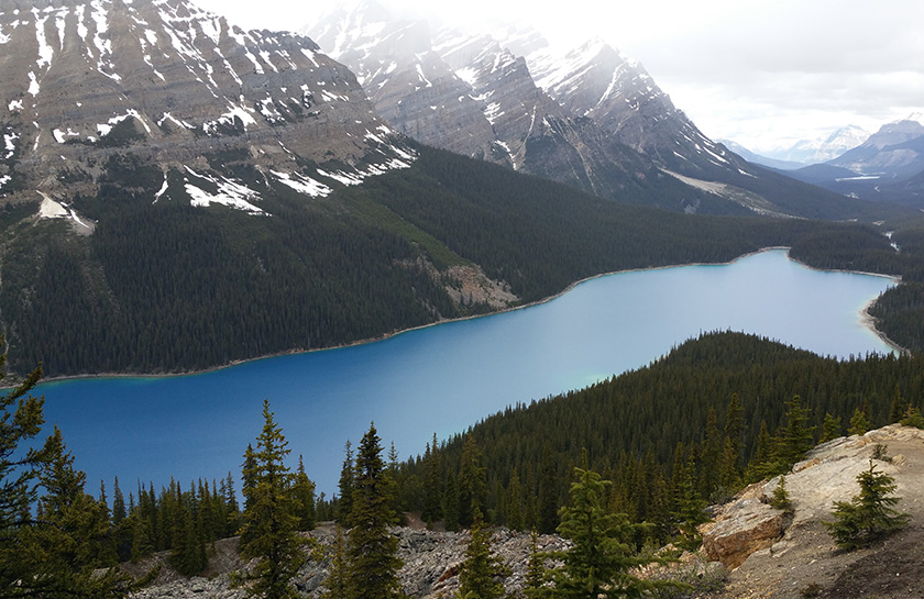 Peyto Lake