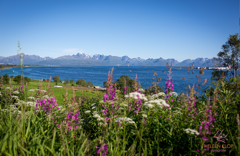 Lofoten
