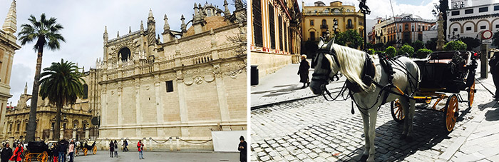 Paarden koets Sevilla