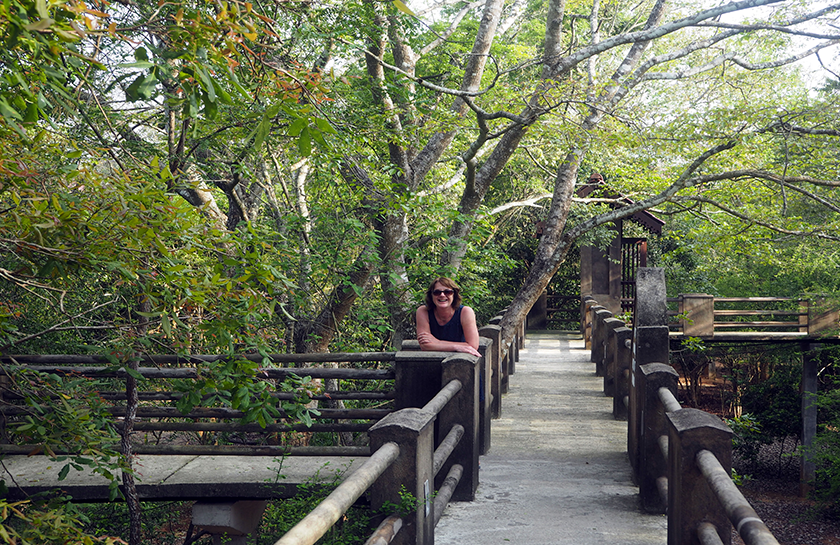 Hotel Rock Forest Garden