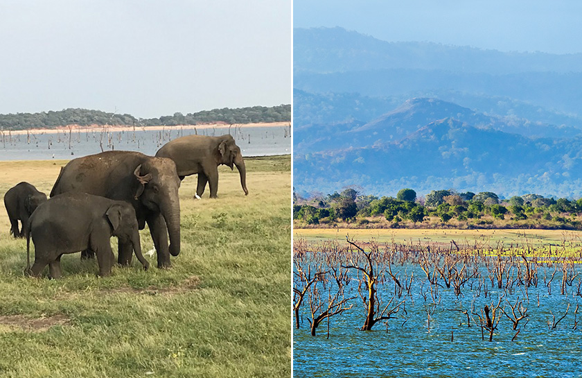 Olifantenweeshuis Udawalawe Keldula National Park
