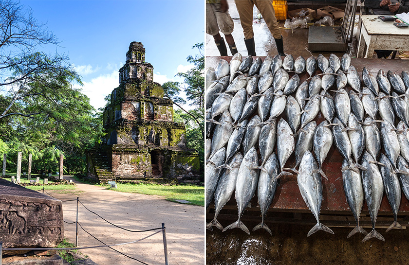 Polonnaruwa Negombo