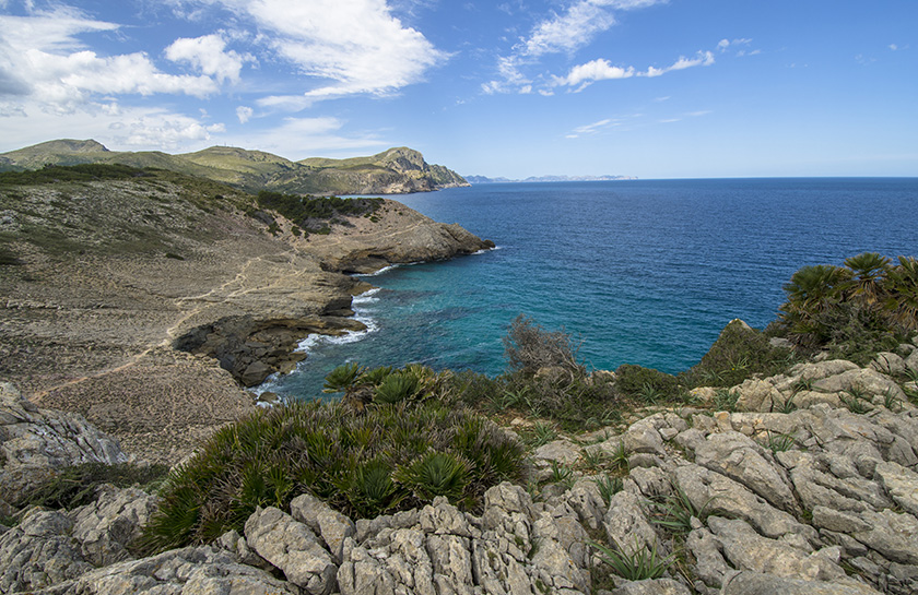 Mallorca Parque Levante