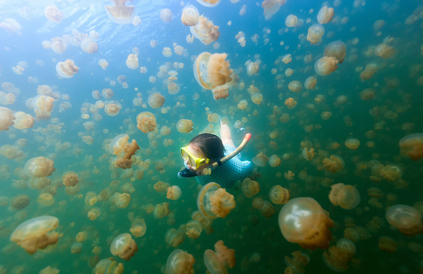 Oceanië