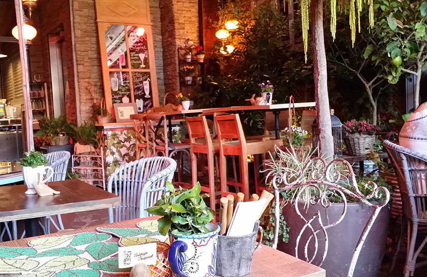 El Jardin Secroto - Salvador Bachiller