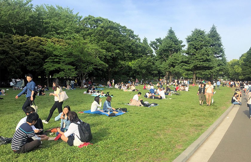 Yoyogi park