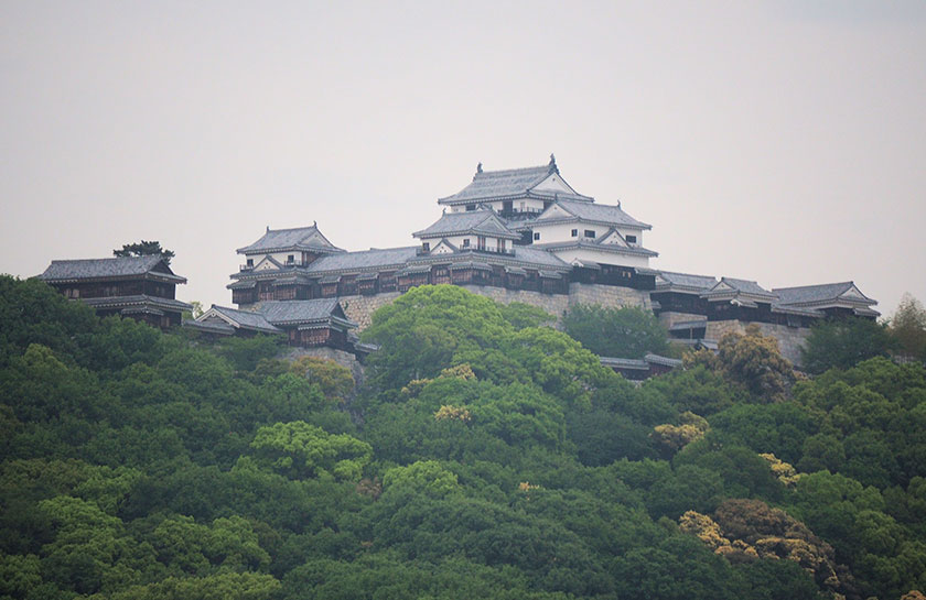 Matsuyama Kasteel Shikoku