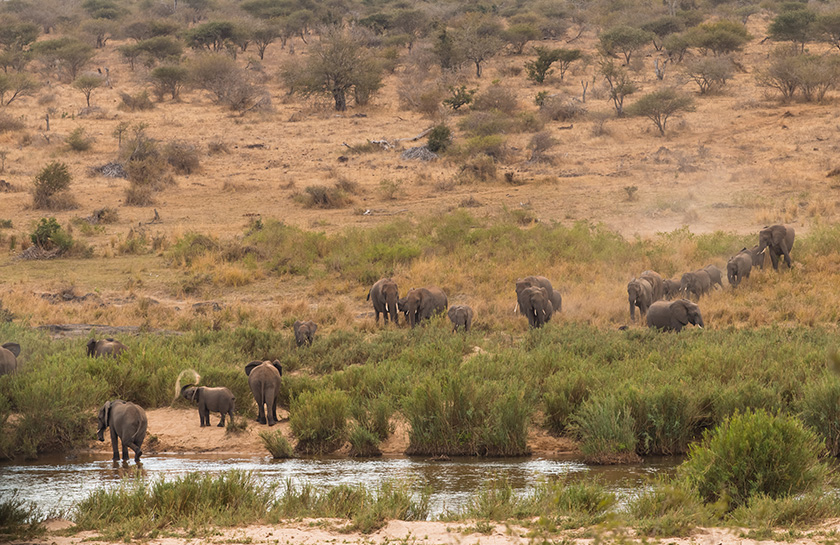 Hotel Hlosi Game Lodge