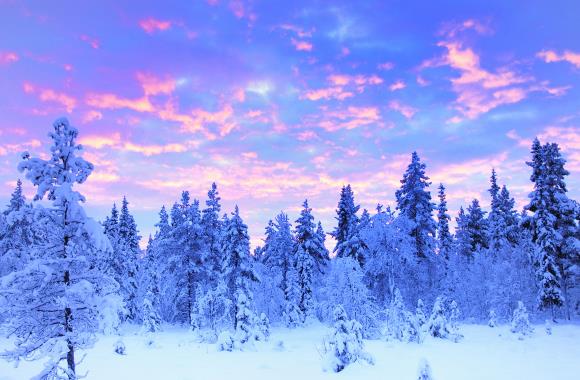 Het besneeuwde landschap van Zweden