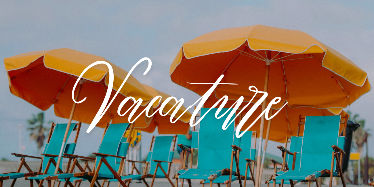 annie-spratt-3bh3elC0D7M-unsplash (VX vacature header)