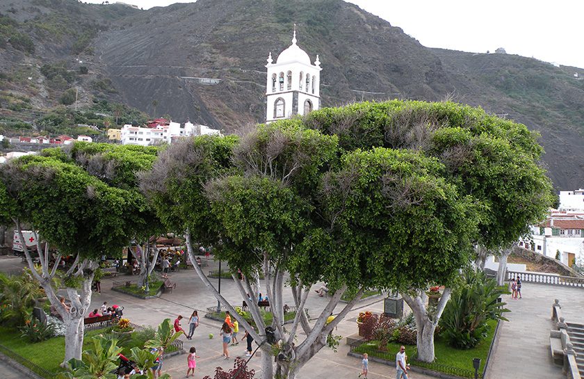 Garachico Mazca