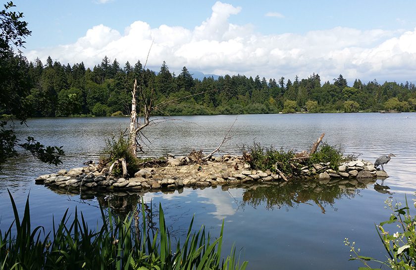 Stanley Park